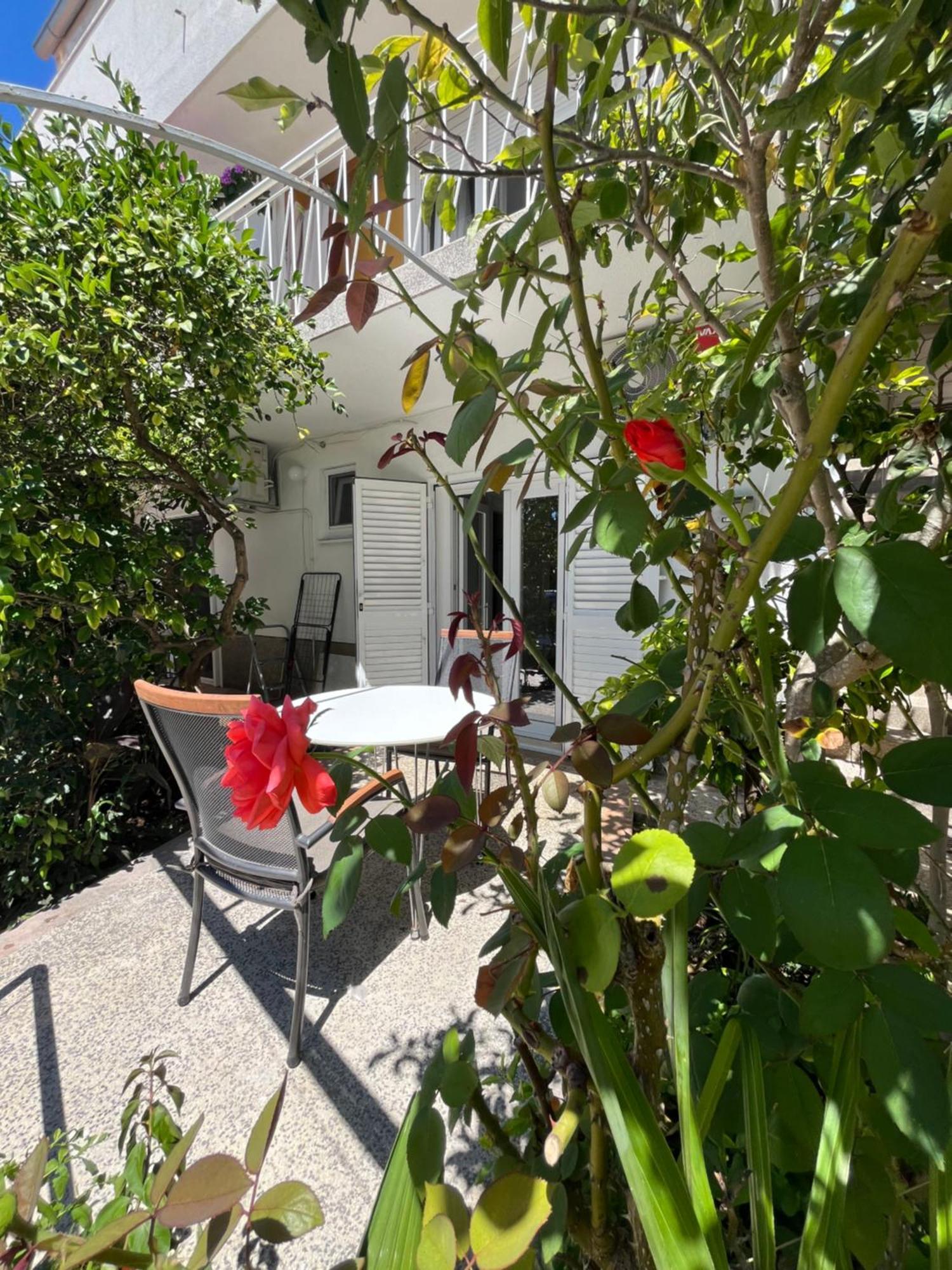 Apartament Green Oasis For Two, 30 Meters From Sea Zadar Zewnętrze zdjęcie